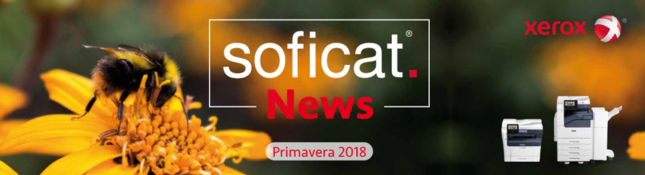 Cabezera Newsletter Primavera